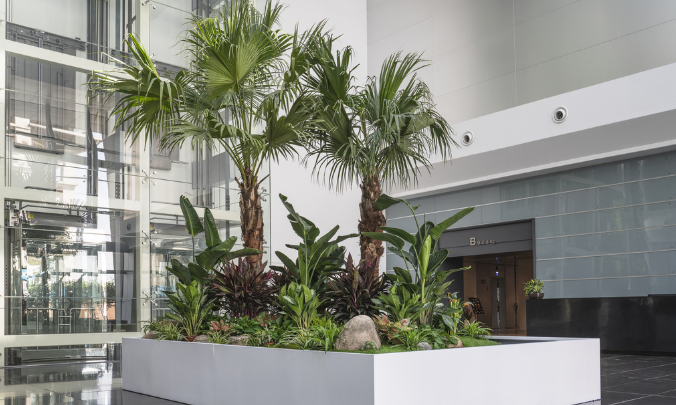 寫字樓裝修如何設計大廳綠植 寫字樓裝修如何設計大廳綠植