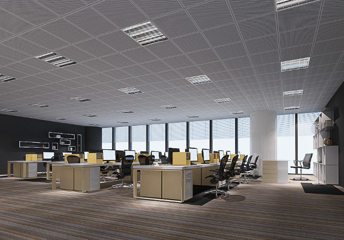 上海辦公室裝修設計：銅錢草，如何巧妙融入空間美學？